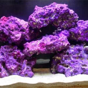 Natures Ocean Purple Base Rock 18.5kg