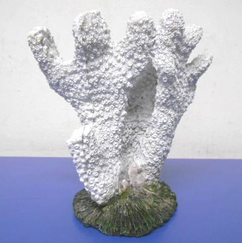 Coral blanco resina