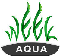 Week Aqua